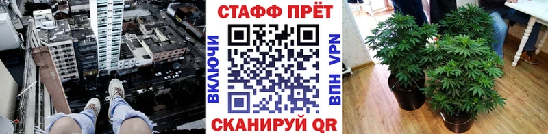 Купить наркоту Валдай БУТИРАТ  Меф  СОЛЬ  hydra как зайти  Псилоцибиновые грибы  COCAIN  Конопля  Гашиш 