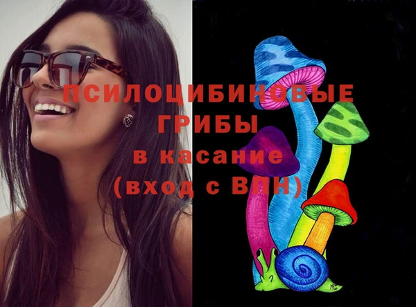 спиды Аркадак