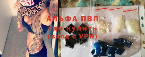спиды Аркадак